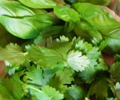Parsley-basil