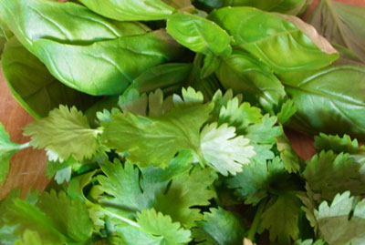 Parsley-basil