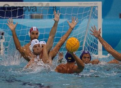 foto pallanuoto