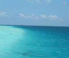 oceano