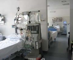 sanit dialisi