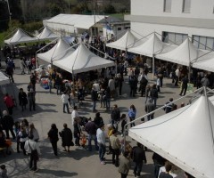 Mercatino di solidarietà Ascoli Piceno, ospite Papa Waigo