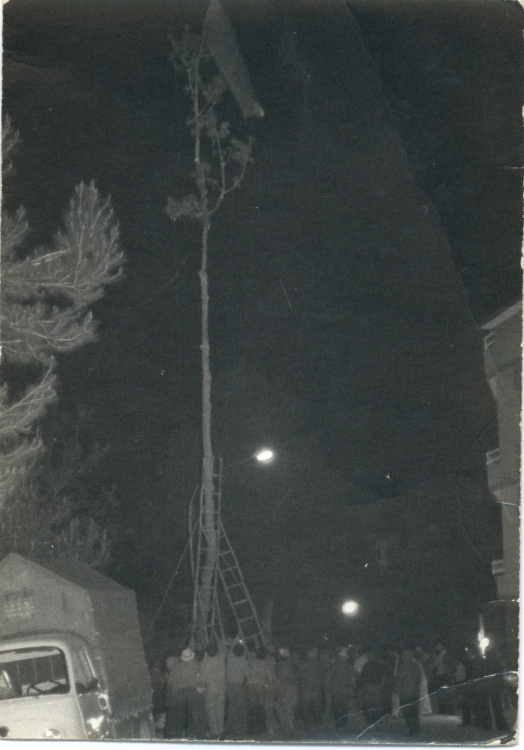 Anni 60_Albero_di_maggio_a_Porchia1