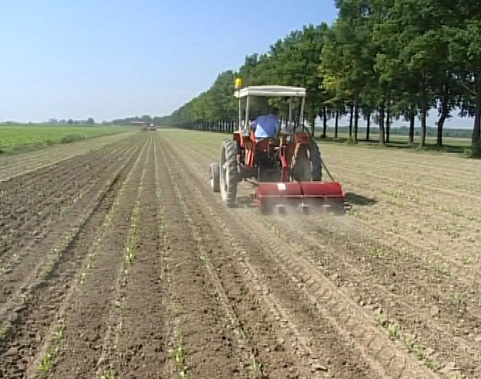 Aziende-Agricole
