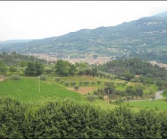 Monterocco