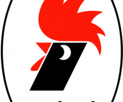 as-bari