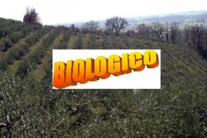 coltivazione-biologica
