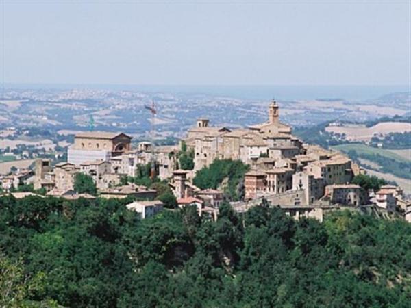 focrepasquetta