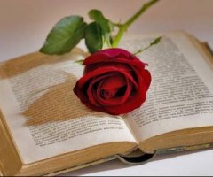 giornata libro
