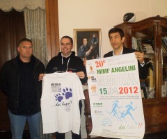memorial angelini