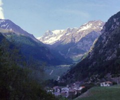 montemonaco marche festa del bosco