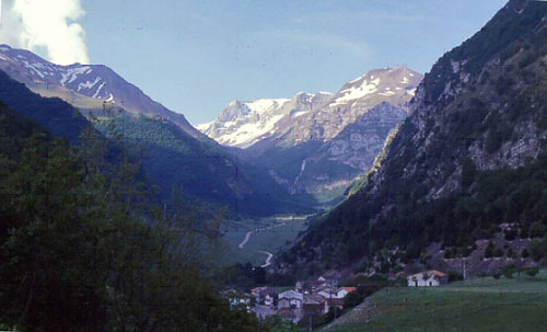 montemonaco marche festa del bosco