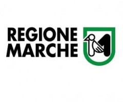 regione-marche-300x262