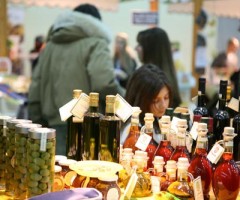tipicita2011