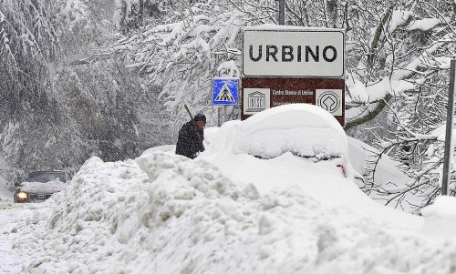 coldiretti, corsa Regione Marche ai fondi per il maltempo