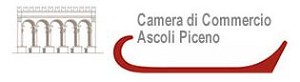 CAMCOM