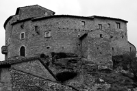 DSC 2368