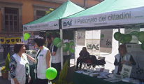 Inac-in-piazza