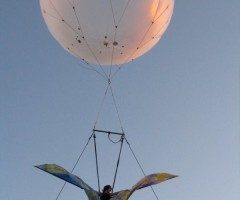 farfalla3