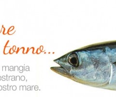 non fare_il_tonno_lg1
