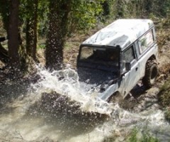 palmianoexplorer