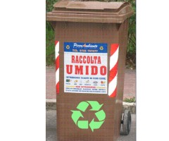 raccolta umido