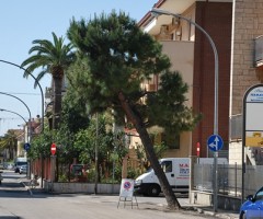 viaferri