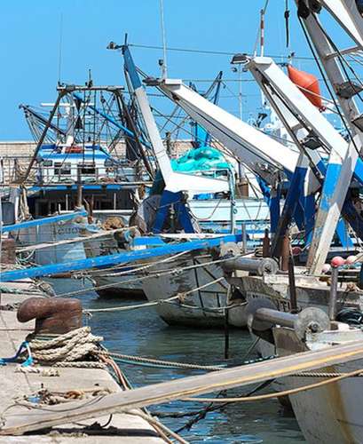 fermo pesca