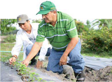 agronomo1