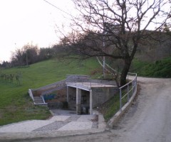 fonte scodalupo