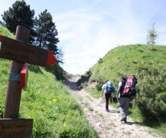 monte vettore