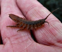 3237626738 c0bb4aec96