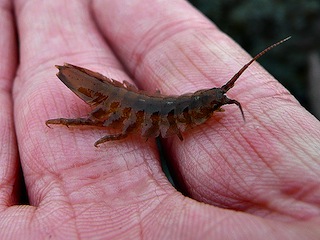 3237626738 c0bb4aec96