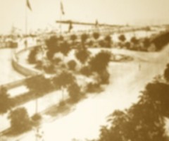 DSCF3513