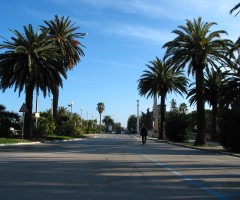 San Benedetto del Tronto concorso fotografico Obiettivo Lungomare
