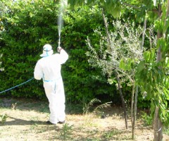 disinfestaizone zanzare