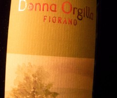 donna orgilla