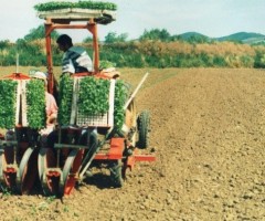 lavoro trattore