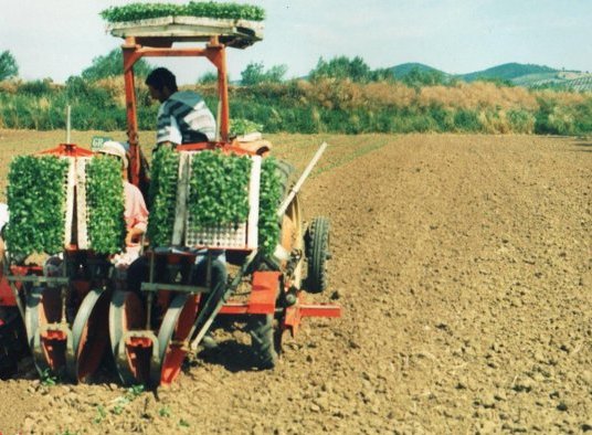 lavoro trattore