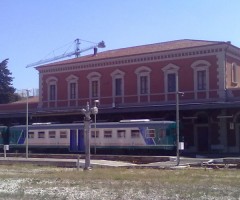 littorina ascoli