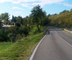 mezzina ascoli