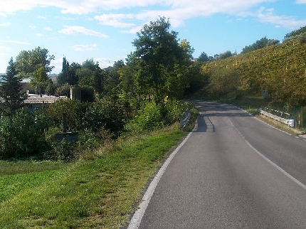 mezzina ascoli