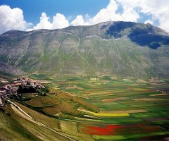montemonaco gli appuntamenti dell'estate 2012
