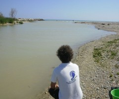 MARE