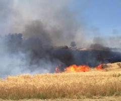 allarme incendi