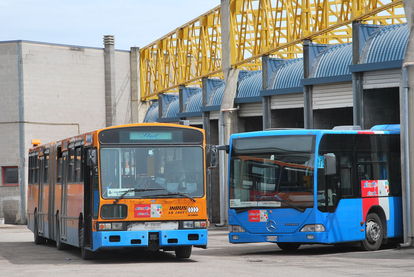 Autista Start schiacciata da minibus autopsia conferma ipotesi