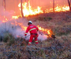 emergenza incendi
