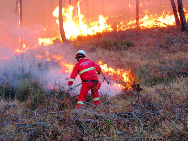 emergenza incendi