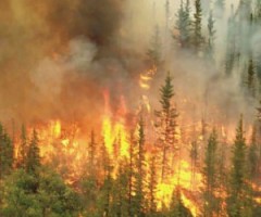 incendi