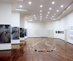 luca-panaro-marche-centro-arte